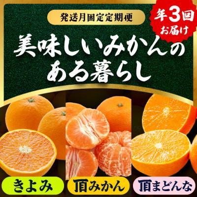 ふるさと納税 八幡浜市 [発送月固定定期便]美味しいみかん柑橘のある暮らし[みかん・まどんな・きよみ][G31-42]全3回
