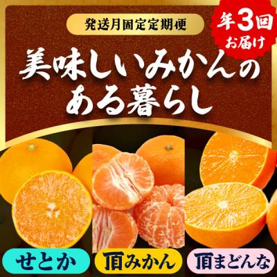 ふるさと納税 八幡浜市 [発送月固定定期便]美味しいみかん柑橘のある暮らし[みかん・まどんな・せとか][G31-43]全3回