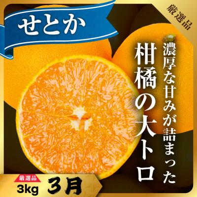 ふるさと納税 八幡浜市 【発送月固定定期便】美味しいみかん柑橘のある暮らし【みかん・まどんな・せとか】【G31-43】全3回 |  | 02
