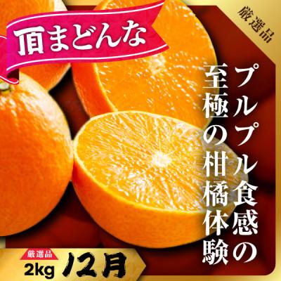 ふるさと納税 八幡浜市 【発送月固定定期便】美味しいみかん柑橘のある暮らし【みかん・まどんな・せとか】【G31-43】全3回 |  | 03