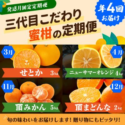 ふるさと納税 八幡浜市 [発送月固定定期便]柑橘[みかん・まどんな・せとか・ニューサマーオレンジ][H31-46]全4回