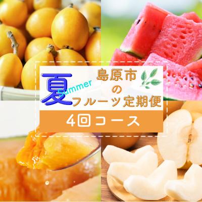 ふるさと納税 島原市 [発送月固定定期便]夏のフルーツ定期便(ハウスびわ・小玉スイカ・小玉メロン・梨)全4回