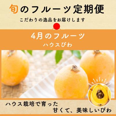 ふるさと納税 島原市 【発送月固定定期便】夏のフルーツ定期便(ハウスびわ・小玉スイカ・小玉メロン・梨)全4回 |  | 01