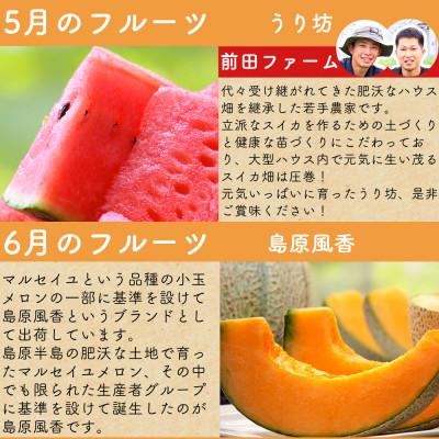 ふるさと納税 島原市 【発送月固定定期便】夏のフルーツ定期便(ハウスびわ・小玉スイカ・小玉メロン・梨)全4回 |  | 02