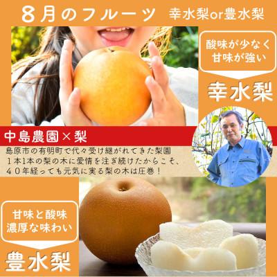 ふるさと納税 島原市 【発送月固定定期便】夏のフルーツ定期便(ハウスびわ・小玉スイカ・小玉メロン・梨)全4回 |  | 03