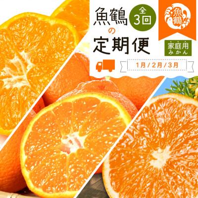 ふるさと納税 有田川町 [発送月固定定期便]紀州和歌山産旬のご家庭用柑橘セット(みかん・不知火・清見)全3回