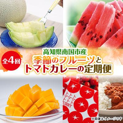 ふるさと納税 南国市 [発送月固定定期便]季節のフルーツ(マンゴー・メロン・スイカ)とトマトカレー 全4回