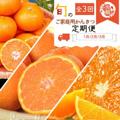 ふるさと納税 紀美野町 [発送月固定定期便]紀州和歌山産旬のご家庭用柑橘セット(みかん・不知火・清見)全3回