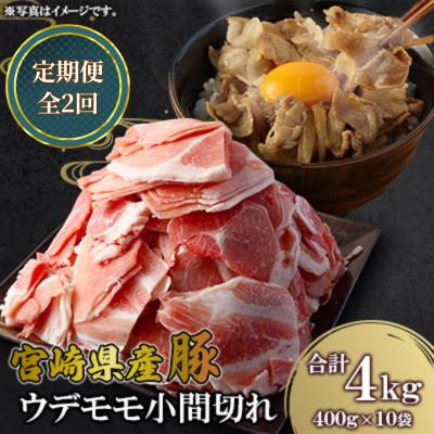 ふるさと納税 高鍋町 [毎月定期便]宮崎県産豚 ウデモモ 小間切れ 400g×10袋(高鍋町)全2回