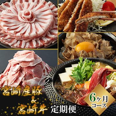 ふるさと納税 高鍋町 [毎月定期便]ミヤチク 宮崎県豚・宮崎牛(高鍋町)全6回