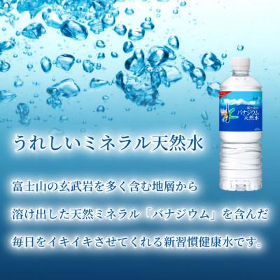 ふるさと納税 山梨市 【毎月定期便】バナジウム天然水600ml【24本入】アサヒ飲料全3回 防災の画像