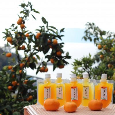 ふるさと納税 松山市 [毎月定期便]ちゅうちゅうゼリー5個 全3回