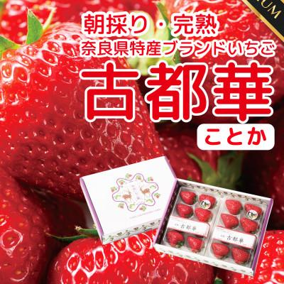 ふるさと納税 広陵町 [発送月固定定期便]3ヶ月定期便 奈良県特産ブランドいちご古都華ことか2P×全3回