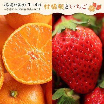 ふるさと納税 高松市 【毎月定期便】旬を見極めた厳選フルーツ詰合せ(満足セット)全2回 |  | 01