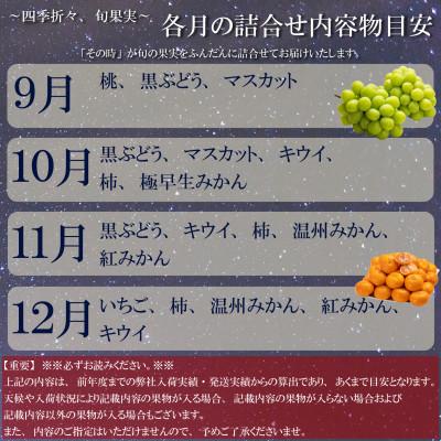 ふるさと納税 高松市 【毎月定期便】旬を見極めた、厳選フルーツ詰合せ定期便【満足コース】(3〜5品種)全12回 |  | 03