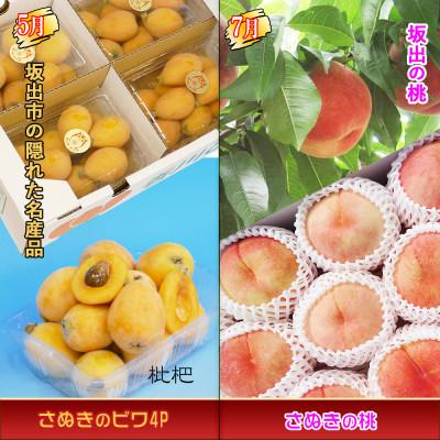 ふるさと納税 坂出市 【発送月固定定期便】創業100年坂出産のフルーツとさぬきの特産品の定期便【Cコース4回】全4回 |  | 01
