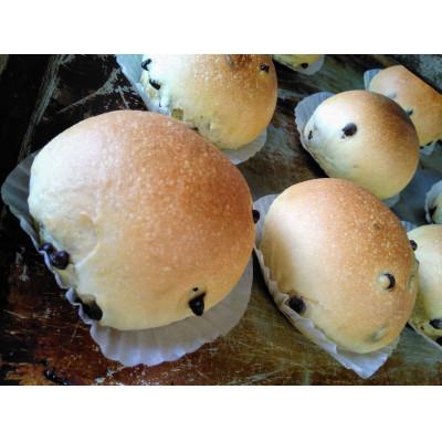 ふるさと納税 南丹市 【毎月定期便】京都丹波の手作り天然酵母パンおすすめ8種セット全12回_3