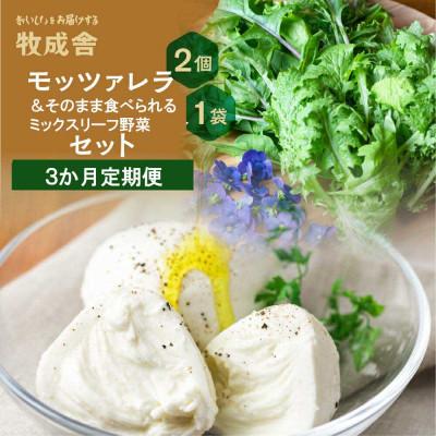 ふるさと納税 高山市 [毎月定期便]飛騨のモッツァレラ&amp;新鮮野菜 DF100全3回