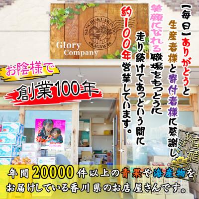 ふるさと納税 坂出市 【毎月定期便】創業100年の老舗が選んだ厳選フルーツの詰め合わせ【プレミア便】全10回_3