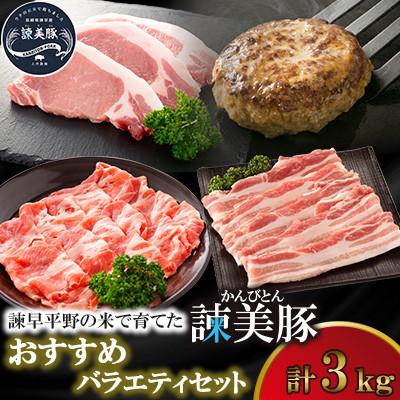 ふるさと納税 諫早市 [毎月定期便]おすすめバラエティセット 3kg 諫早平野の米で育てた諫美豚(かんびとん)全3回