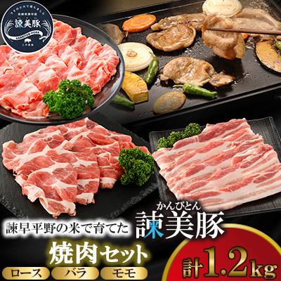 ふるさと納税 諫早市 [毎月定期便]ロース600g入り焼肉セット 1.2kg諫早平野の米で育てた諫美豚(かんびとん)全3回