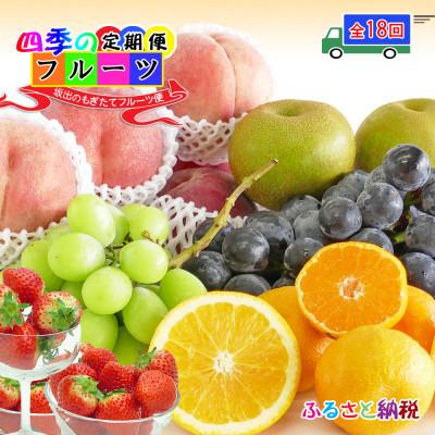 ふるさと納税 坂出市 [2週間毎定期便]創業100年の老舗が選んだ厳選フルーツの詰め合わせ[プレミア定期便]全18回