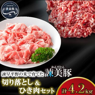 ふるさと納税 諫早市 [毎月定期便]諫早平野の米で育てた諫美豚(かんびとん)の切り落しとひき肉のセット計4.2kg全3回