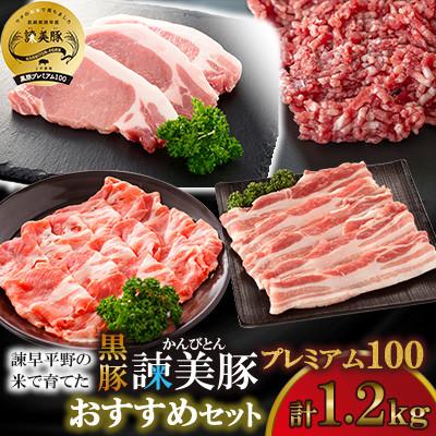 ふるさと納税 諫早市 [毎月定期便]黒豚諫美豚(かんびとん)プレミアム100 おすすめセット1.2kg全3回