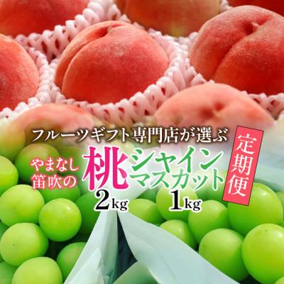 ふるさと納税 笛吹市 [発送月固定定期便]フルーツギフト専門店が選ぶ笛吹市の厳選フルーツ定期便 全2品種全2回
