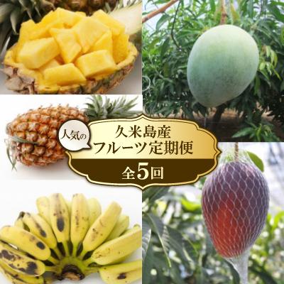 ふるさと納税 久米島町 [発送月固定定期便]2026年発送の久米島産人気のフルーツお届け全5回