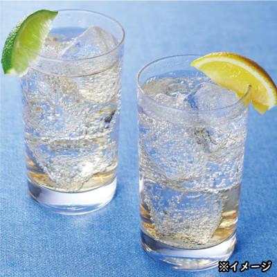 ふるさと納税 伊佐市 【毎月定期便】財寶温泉 レモン水(500ml×24本)(伊佐市)全3回の画像