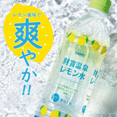 ふるさと納税 伊佐市 【毎月定期便】財寶温泉 レモン水(500ml×48本)(伊佐市)全3回_3