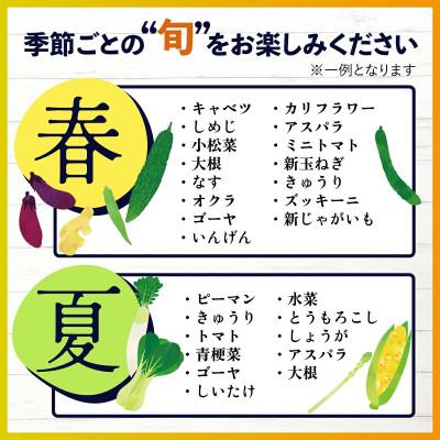 ふるさと納税 鹿島市 【毎月定期便】旬のおまかせ野菜BOX 詰め合わせ 8〜10品目全3回 |  | 02