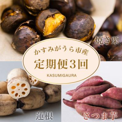 ふるさと納税 かすみがうら市 【発送月固定定期便】茨城県 特産品3種全3回 | 