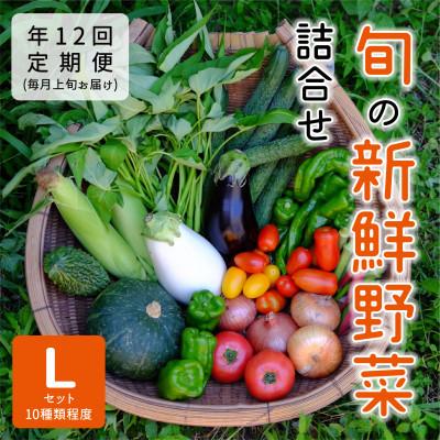 ふるさと納税 能勢町 [発送月固定定期便]『大阪能勢産』べじたぶるぱーくの新鮮野菜詰合せLセット(10種類) 上旬全12回
