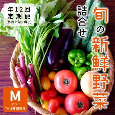 ふるさと納税 能勢町 [発送月固定定期便]『大阪能勢産』べじたぶるぱーくの新鮮野菜詰合せMセット(7〜8種類)上旬全12回