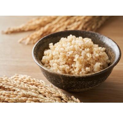 ふるさと納税 西脇市 [毎月定期便]兵庫県産 コシヒカリ(玄米) 10kg全3回