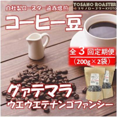 ふるさと納税 与謝野町 [毎月定期便]コーヒー豆 グァテマラ ウエウエテナンゴファンシー 200g×2 遠赤外線焙煎全3回