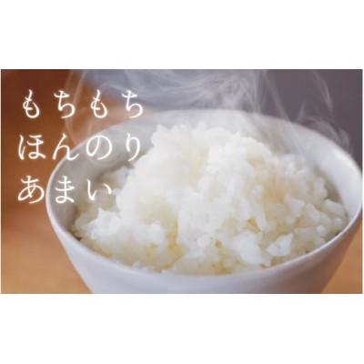 ふるさと納税 滑川市 【毎月定期便】ほたるいか米　精米　10kg全3回_2