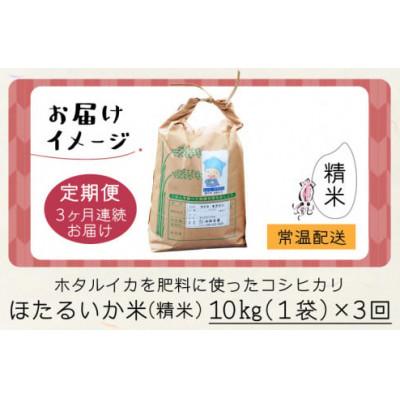 ふるさと納税 滑川市 【毎月定期便】ほたるいか米　精米　10kg全3回_3