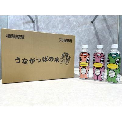 ふるさと納税 多治見市 [発送月固定定期便][2]うながっぱの水1ケース全3回