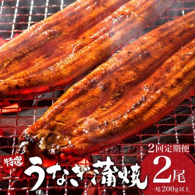 ふるさと納税 大町町 [毎月定期便]うなぎ蒲焼き 200g×2尾(大町町)全2回