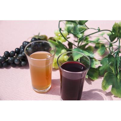 ふるさと納税 山元町 【発送月固定定期便】マルタのきぶどう1000ml×6本入全6回の画像
