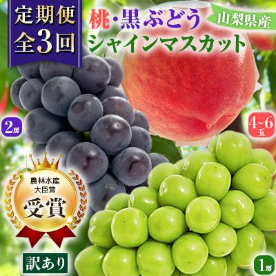 ふるさと納税 山梨市 【発送月固定定期便】【訳アリ】山梨の桃と黒ぶどう・シャインマスカット全3回