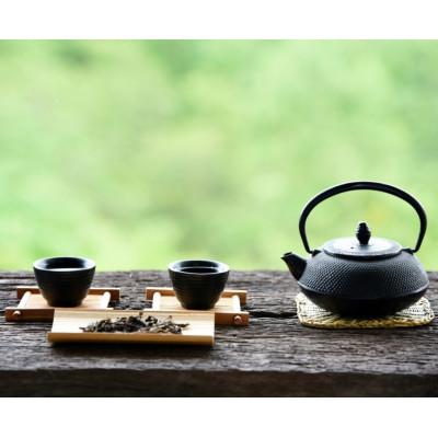 ふるさと納税 川崎町 【毎月定期便】八女茶【上】煎茶セット 100g×2袋