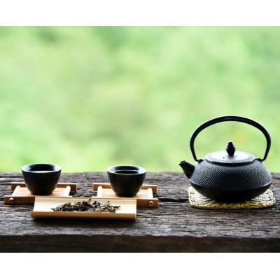 ふるさと納税 川崎町 【毎月定期便】八女茶【特上】煎茶セット　100g×2袋(川崎町)全3回_2