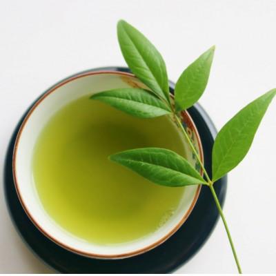 ふるさと納税 川崎町 【毎月定期便】八女茶【特上】煎茶セット　100g×2袋(川崎町)全3回_3