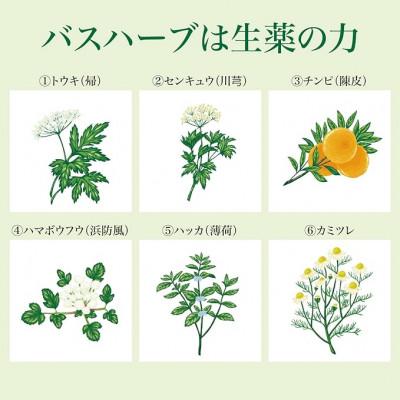 ふるさと納税 静岡市 【3ヵ月毎定期便】ツムラのくすり湯 バスハーブ[650ml×3本]全2回の画像