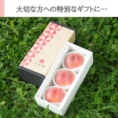 ふるさと納税 山梨市 「2026年先行受付」[発送月固定定期便]7月・8月 三十屋こだわり桃 選りすぐり2品種お届け全2回