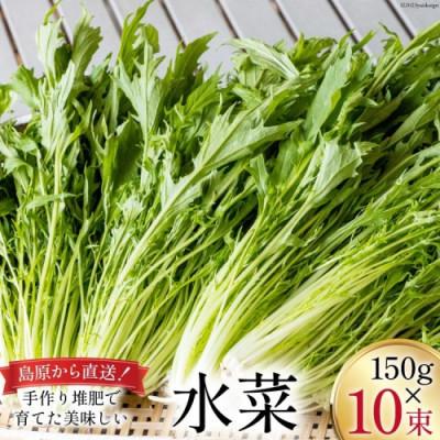 ふるさと納税 島原市 [毎月定期便]産地直送 水菜 10束全3回